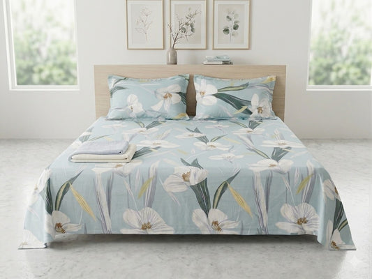 Cotton Bedsheets